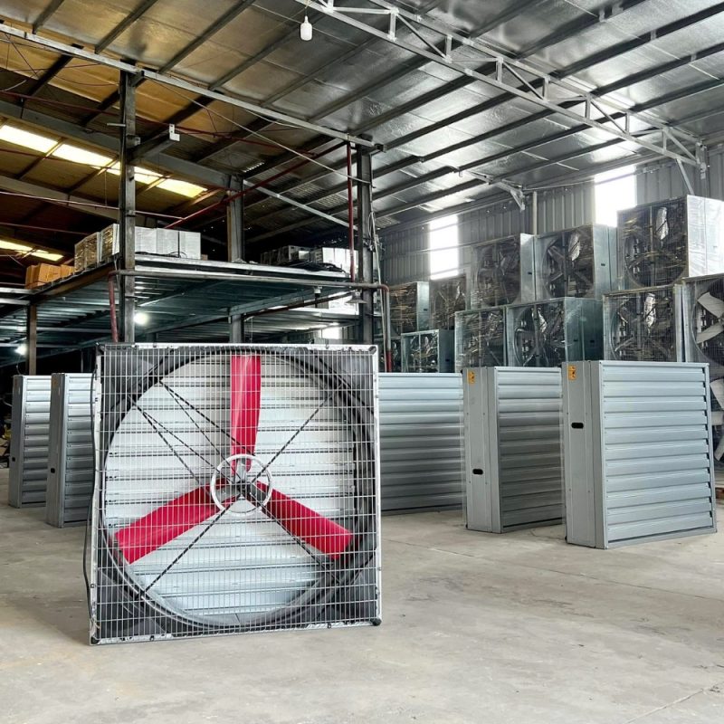 Quạt Trang Trại TTF 54IQ